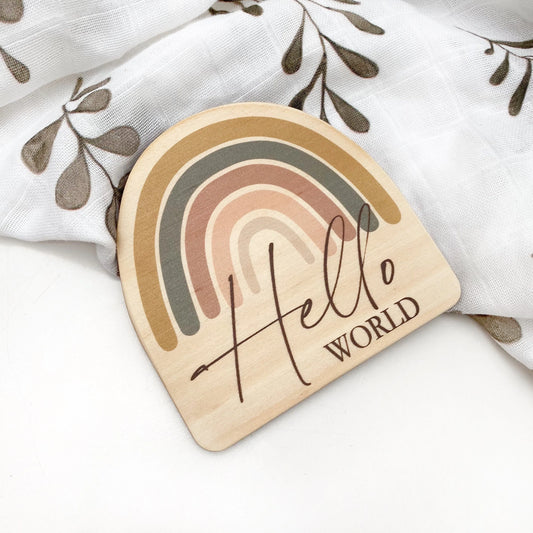 Hello World Baby Milestone Plaque - Rainbow Series